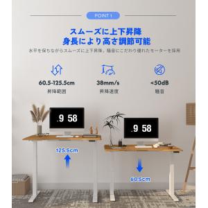 スタンディングデスク FlexiSpot E7...の詳細画像3