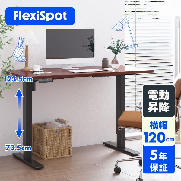昇降デスク FlexiSpot EF1 電動式 スタンディングデスク オフィスデスク 高さ調節 パソ...