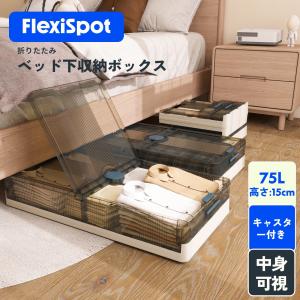 JEJアステージ 衣類ケース ベッド ベット下 収納 キャスター JEJアステージ 衣類ケース ベッド ベット下 収納 キャスター