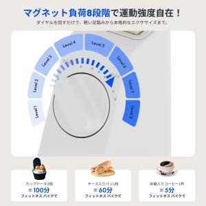 エアロバイク Flexispot V9LITE...の詳細画像5