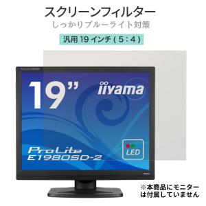 LOE 19インチ (5:4) ブルーライトカット フィルター 液晶 モニター スクリーン アクリル 保護 パネル フィルム ガード 据え置き型 19型 スクエア型 (グレア)｜LOE Yahoo!店