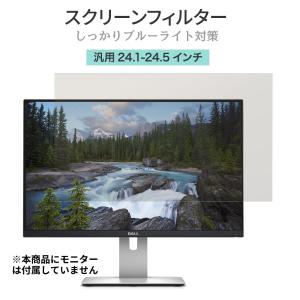 LOE 24.1〜24.5インチ ブルーライトカット フィルター 液晶 モニター スクリーン アクリル 保護 パネル フィルム ガード 据え置き型 24.1型 24.5型 (グレア)｜LOE Yahoo!店