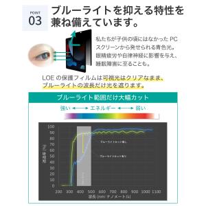 LOE iPad Pro 11 (2022) ...の詳細画像5