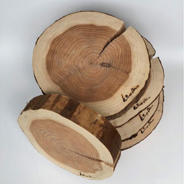 杉　丸太皮付きスライス（小　5枚セット）