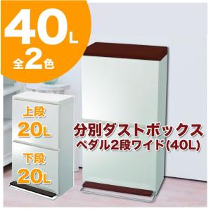 ゴミ箱 分別ダストボックス2段ワイド 40L ブラウン・ホワイト (分別 大容量） （ごみ箱 ごみばこ ダストボックス おしゃれ ふた付き 40 薄型 スリム キッチン）｜logi-mart