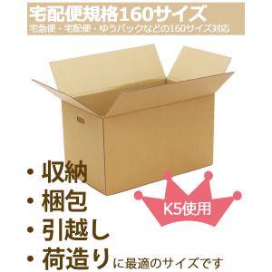 NO.339 【法人様向け】【20枚】ダンボー...の詳細画像4