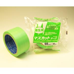 スリオンテック マスカットテープNO3489 緑 50mm×25M 1ケース30巻 梱包 こんぽう 布テープ クラフトテープ PPテープ OPPテープ 透明テープ 引越し 梱包資材｜logi-mart