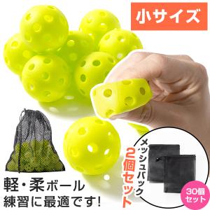 バッティング練習用セット　（付属：収納バック、ポール、固定用ピン） バッティング練習用セット （付属：収納バック、ポール、固定用