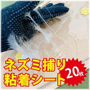 ネズミ捕り 粘着シート 20枚セット ネズミ被害...の商品画像