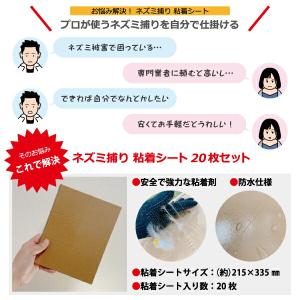 ネズミ捕り 粘着シート 20枚セット ネズミ被...の詳細画像1