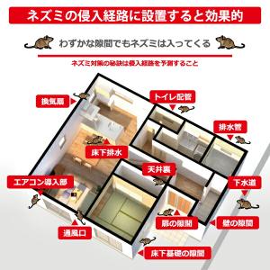 ネズミ捕り 粘着シート 20枚セット ネズミ被...の詳細画像2