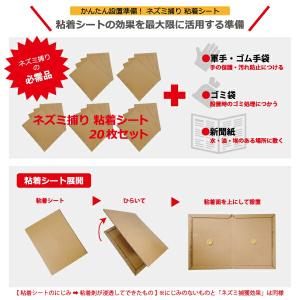 ネズミ捕り 粘着シート 20枚セット ネズミ被...の詳細画像3