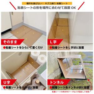 ネズミ捕り 粘着シート 20枚セット ネズミ被...の詳細画像4