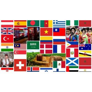 2個セット マルチ変換プラグ 海外コンセント対...の詳細画像2