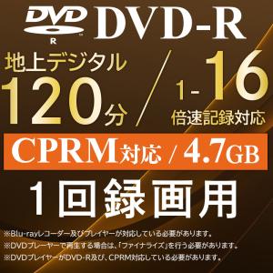 ロジテック 16倍速対応 DVD-R 50枚入...の詳細画像1