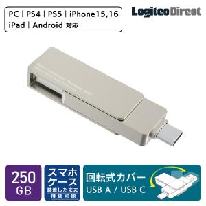 外付け SSD USB Type-A / USB Type-C 両挿し スティック型 コンパクト USBメモリサイズ USB3.2 Gen2 PS4 PS5 動作確認済 250GB LMD-SPE025UAC new ypp｜logitec