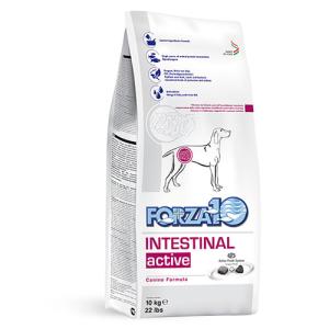 FORZA10 アクティブライン インテスティナルアクティブ（胃腸） 小粒 犬用 10kg｜logos-pet