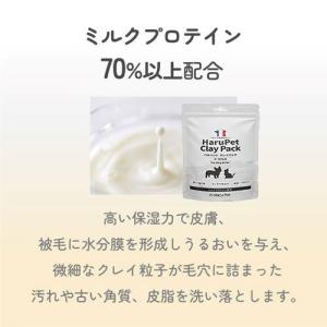 全3種 Harupet ハルペット クレイパッ...の詳細画像3