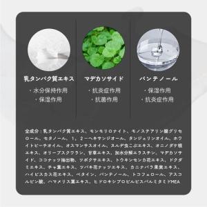 全3種 Harupet ハルペット クレイパッ...の詳細画像4