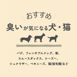 全3種 Harupet ハルペット クレイパッ...の詳細画像5