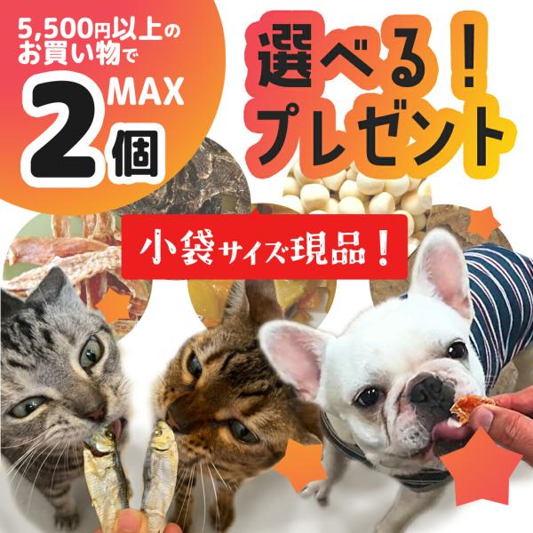 選べるプレゼント 犬 猫 おやつ 無添加 国産 40種類以上から最大2個！選べる無添加おやつ &amp; サ...