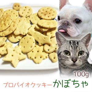 おやつ 無添加  国産 プロバイオクッキー かぼちゃ 100g メール便  ロゴスペット 犬猫用 シニア用 パピー 腸活 菌活 酵素ビスケット トリーツ｜logos-pet