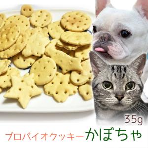 おやつ 無添加  国産 プロバイオクッキー かぼちゃ 35g メール便  ロゴスペット 犬猫用 シニア用 パピー 腸活 菌活 酵素ビスケット トリーツ｜logos-pet