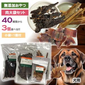 ドクターデンタルワン 30g ビーフ味 犬 歯磨き 2本 ジェル 口 わん