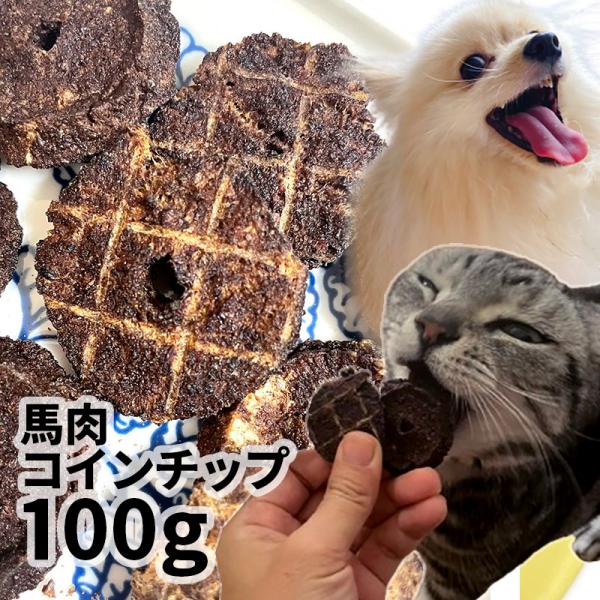 国産 馬肉コインチップ 100g ロゴスペット 無添加 天然 犬用おやつ 犬おやつ おやつ 犬用 猫...