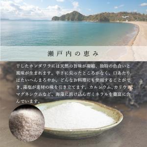 海人の藻塩 スタンドパック100gの詳細画像2
