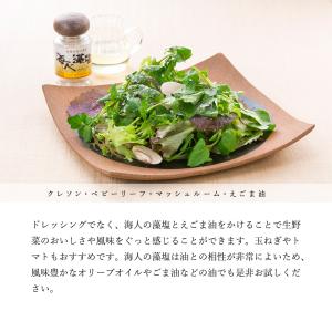 海人の藻塩 スタンドパック100gの詳細画像4