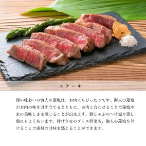 海人の藻塩 スタンドパック100gの詳細画像5
