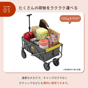 公式 ロゴス ROSY ラゲージキャリー Gr...の詳細画像1
