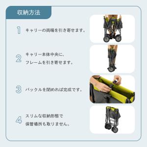 公式 ロゴス ROSY ラゲージキャリー Gr...の詳細画像3