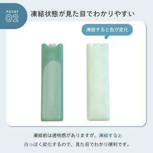 公式 ロゴス LOGOS 倍速凍結・氷点下パッ...の詳細画像3