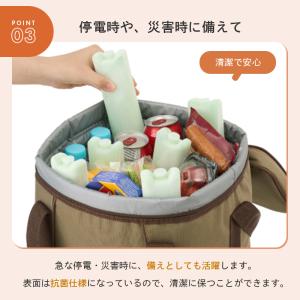 公式 ロゴス LOGOS 倍速凍結・氷点下パッ...の詳細画像4