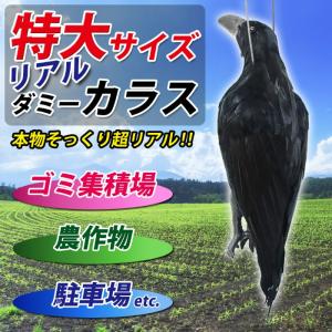 カラスよけ ログソルJAPAN 特大 リアル ダミー 本物そっくり