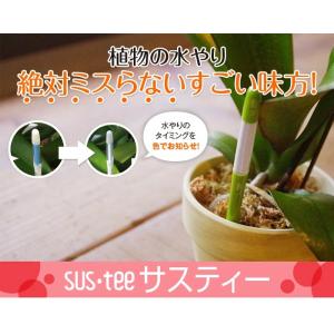 水分計 水やりチェッカー sustee(サステ...の詳細画像1