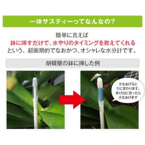 水分計 水やりチェッカー sustee(サステ...の詳細画像2
