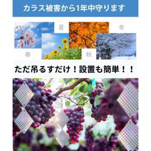 鳥よけグッズ 鳩よけ カラスよけ 撃退 ツバメ...の詳細画像3