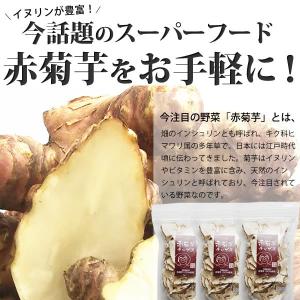 菊芋 チップス 100g(50g×2) 赤菊芋...の詳細画像2