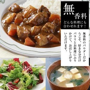 菊芋 パウダー 100g 群馬県産 赤菊芋 キ...の詳細画像4