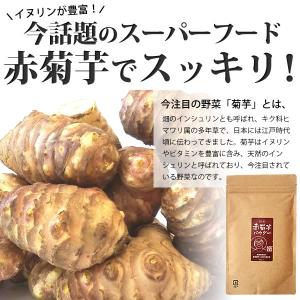 菊芋 パウダー 300g(100g×3) 群馬...の詳細画像2