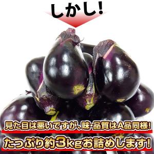 【期間限定ポイント10倍!】訳あり 上州 水な...の詳細画像3