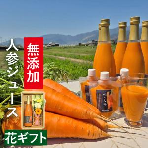 にんじん専門店 ザ・人参 - Yahoo!ショッピング