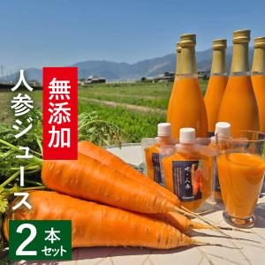 無肥料・自然栽培】人参ジュース「にんじんとれもん」350ml［鳥取県