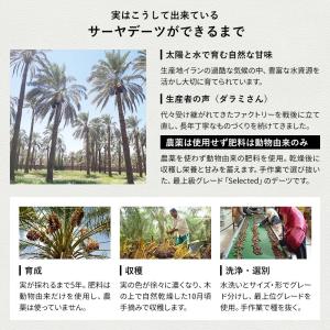 無添加 デーツ ( なつめやし )1kg イラ...の詳細画像4