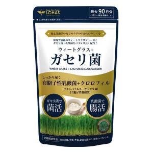 ガセリ菌 サプリ ウィートグラス + ガセリ菌 腸活 乳酸菌 クロロフィル 小麦若葉 栄養補助食品
