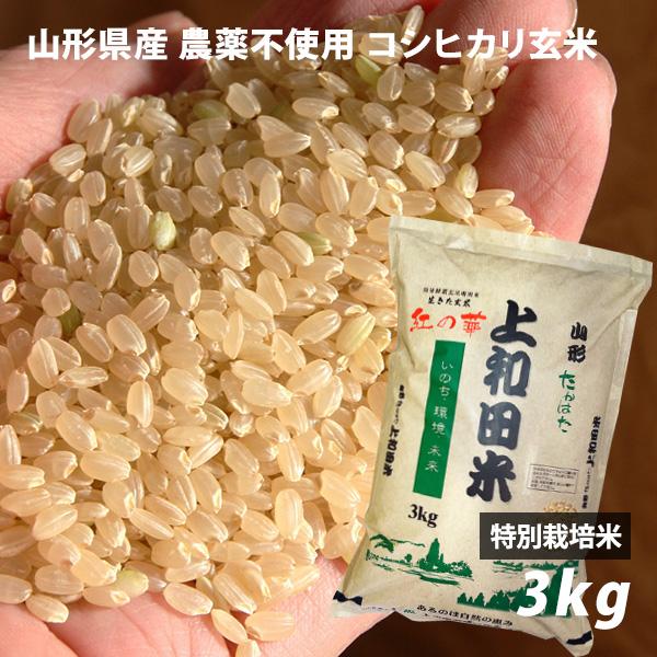 山形県産 コシヒカリ玄米（令和4年度） 3kg 特別栽培米 農薬不使用 上和田米 皇室献上農家 渡部...