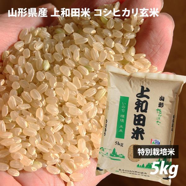 山形県産 コシヒカリ玄米 5kg 令和5年産新米 特別栽培米 減農薬 上和田米 特A 発芽ができる生...